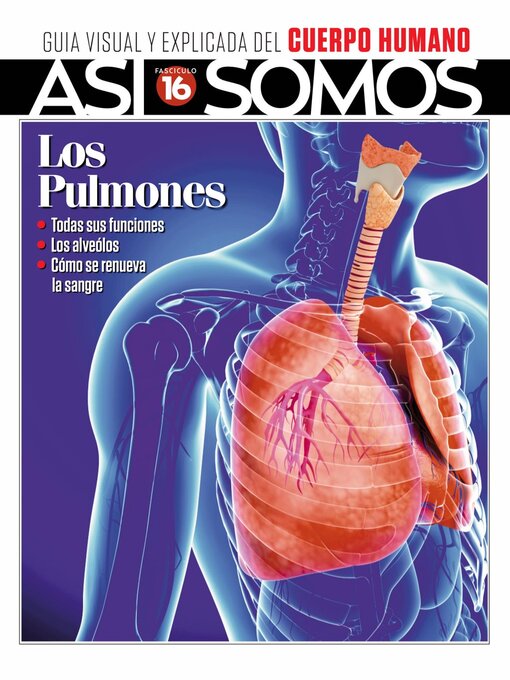 Cover image for Así Somos - El cuerpo humano: Fasciculo 6 - 2022